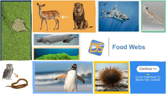 Food Webs